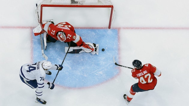 Niederlage für die Florida Panthers 