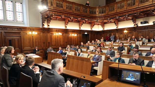 Der Grazer Gemeinderat will einen sparsameren Wahlkampf – und bekommt ihn auch. 