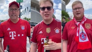 (Bild: krone.at/sport)