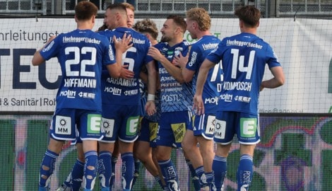 Welche Spieler jubeln auch in der neuen Bundesliga-Saison für Hartberg? (Bild: GEPA)