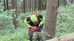Forstwirt Thomas Kaltenbrunner bei der Arbeit.