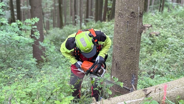 Forstwirt Thomas Kaltenbrunner bei der Arbeit.