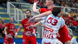 (Bild: GEPA pictures)