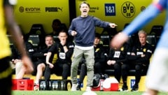 Niko Kovac hauchte dem BVB wieder Leben ein.