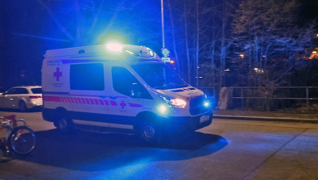 Die beiden Polizisten wurden bei der Festnahme verletzt (Symbolbild)