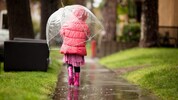 Der Regenschirm gehört im heurigen Sommer zur Grundausrüstung beim Rausgehen.