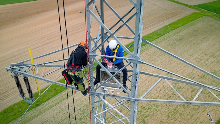 Hoch über dem Boden sind auf den Hochspannungsmasten Nistkästen für die Falken-Brutpaare montiert. 