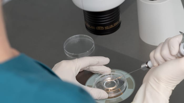 IVF-Methode