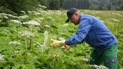Die Berg- und Naturwacht leistet in diesem Bereich hervorragende Arbeit. Hier wird in Turnau der ...