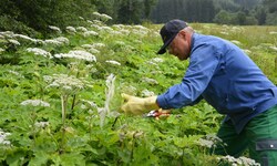 Die Berg- und Naturwacht leistet in diesem Bereich hervorragende Arbeit. Hier wird in Turnau der ...