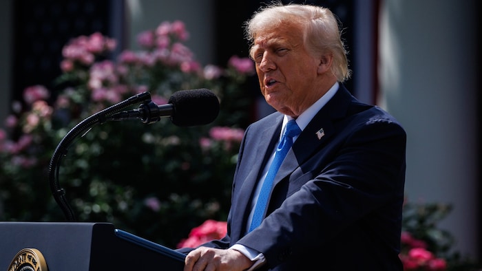 Laut Donald Trump steht der Vatikan als Gastgeber für Gespräche zwischen den Kriegsparteien ...