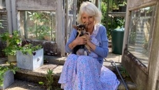 Ein liebevolles Bild – und ein kleiner Hund, der schon jetzt die Herzen erobert. (Bild: Royalfoto / Action Press / picturedesk.com)
