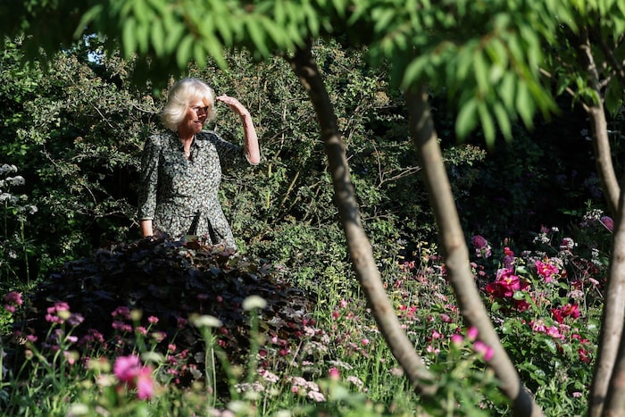 Königin Camilla bei der Besichtigung der Chelsea Flower Show