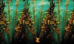 Superflux blicken 30 Jahre in die Zukunft: im dem Video „The Seas Are No Longer Dying“ zeigen ...