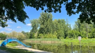 Das Kampbad (NÖ) bietet mehr als genug Liegefläche.