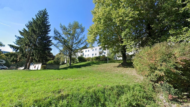 Der betroffene Grünhang beim Schablederweg am Pöstlingberg, auf dem die geplante Tiefgarage entstehen soll.