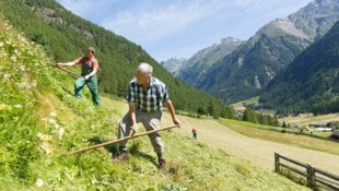 Rund um die Heuernte brauchen die Bauern viele helfende Hände. Da sind Freiwillige willkommen.  (Bild: Maschinenring Tirol)