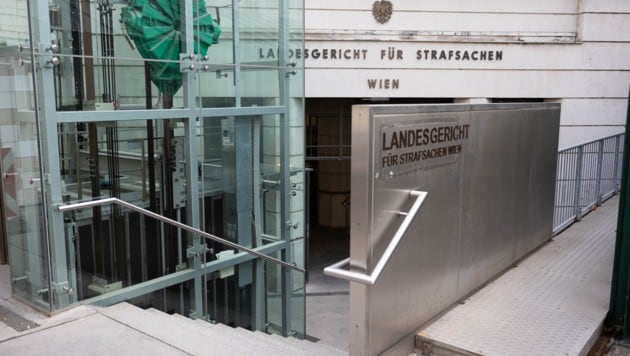 Im Landesgericht Wien wird gestritten.