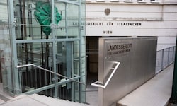 Im Landesgericht Wien bekennt sich Neugebauer nicht schuldig.