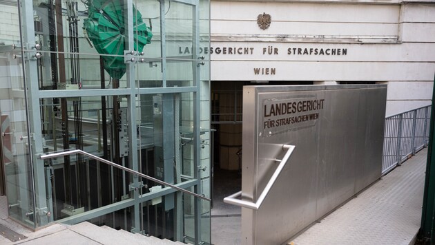 Im Landesgericht Wien wird gestritten.