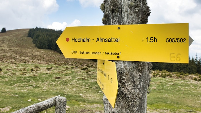 Eineinhalb Stunden noch – dann ist der Almsattel erreicht.
