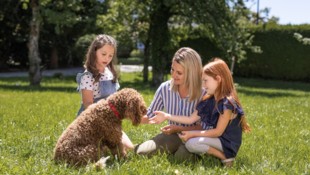 Pro Juventute empfängt Kinder und Jugendliche aus schwierigen Elternhäusern mit offenen Armen.