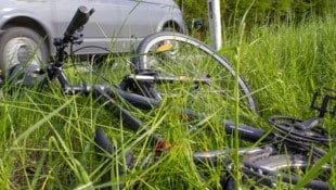 In das hohe Gras warf ein Slowake seinen gestohlenen Drahtesel und wollte flüchten (Symbolbild). (Bild: Pressefoto Scharinger/Daniel Scharinger)