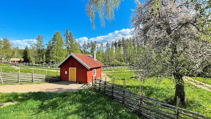 Im Frühling gleicht Småland einem Blütenmeer 