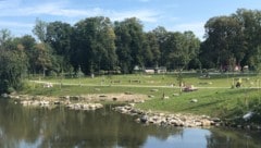Die Burschen wurden im Grazer Augartenpark auf frischer Tat ertappt. 