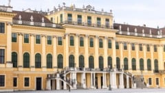 Vor Schloss Schönbrunn findet mit dem Wings for Life World Run das nächste große Sport-Event ...