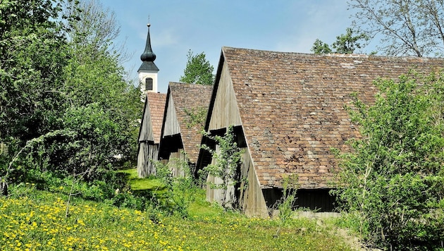 Die Stadl-Tour können Besucher im Weinviertel gemütlich auf Fahrrädern absolvieren. 