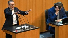 Herbert Kickl packte Abraham Lincoln ein, Alexander Pröll musste für die ÖVP einstecken ... (Bild: APA/HELMUT FOHRINGER)