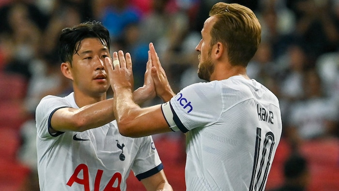 Son Heung-min (links) und Harry Kane spielten lange gemeinsam für Tottenham.