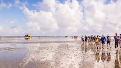 Menschen bei einer Wattwanderung