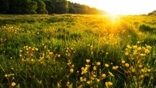In Österreich bleibt das Wetter wechselhaft – zum Wochenende hin wird es aber deutlich milder.