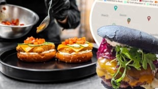 Schwarze Buns oder knallbunte Mixturen: Wiens Burgerbrater sind unfassbar kreativ! Gustieren Sie durch unsere interaktive Karte – wer selbst Tipps abgibt, kann Preise gewinnen. (Bild: Krone KREATIV/Dworak/Wiesmeyer, Stock Adobe)