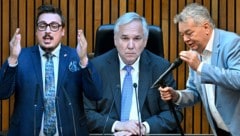 Verbale Entgleisungen im Parlament – Vorsitzender Rosenkranz reagierte zögerlich. (Bild: Krone KREATIV/APA/ROLAND SCHLAGER)
