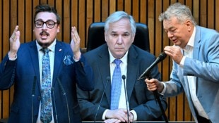Verbale Entgleisungen im Parlament – Vorsitzender Rosenkranz reagierte zögerlich. (Bild: Krone KREATIV/APA/ROLAND SCHLAGER)