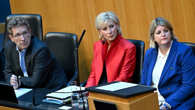 Von links: Volksanwalt Bernhard Achitz, Volksanwältin Gabriela Schwarz und Ex-Volksanwältin Elisabeth Schwetz