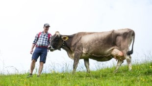 Landesrat Christian Gantner befürchtet, dass die kleinstrukturierte Vorarlberger Landwirtschaft ...