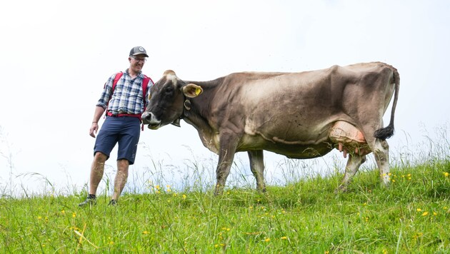 Landesrat Christian Gantner befürchtet, dass die kleinstrukturierte Vorarlberger Landwirtschaft ...