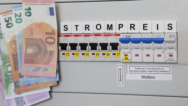 Die Strompreise stellen manche Haushalte vor Herausforderungen.
