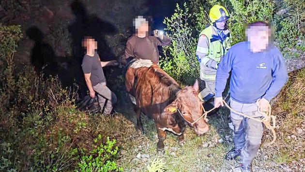 Die Feuerwehr und die Bauernfamilie bei der Rettung.