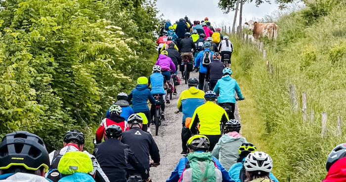 Sogar die Kühe staunten am Radweg-Rand über die vielen Radfahrer, die zum Sattelfest gekommen ...