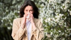 Allergie-Symptome wie rinnende Nase immer ernst nehmen.