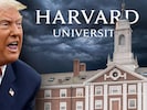 Dem US-Präsidenten ist die prestigeträchtigste Hochschule der Welt ein Dorn im Auge. (Bild: Krone KREATIV/stock.adobe.com, AP/Evan Vucci)