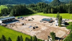Die Verbauung von Wald- und Grünflächen ist den WWF-Naturschützern schon immer ein Dorn im Auge. ...