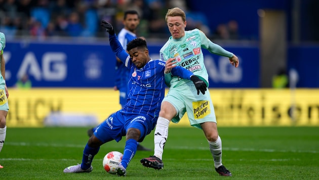 Benjamin Markus entwickelt sich in Hartberg prächtig und spielte sich dabei ins Rampenlicht.