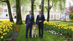 Hundeliebhaber: der Welser Stadtvize Gerhard Kroiß und Bürgermeister Andreas Rabl (li.) von der ...
