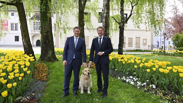 Hundeliebhaber: der Welser Stadtvize Gerhard Kroiß und Bürgermeister Andreas Rabl (li.) von der FPÖ. 